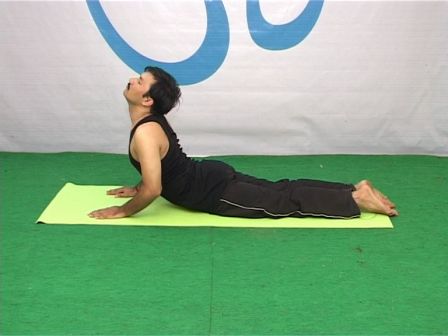 poses Pose Relief CobraYoga back lower  Bhujangasana for Pain  Lower Back relief yoga for pain