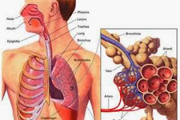 Respiratory Disorders Common in Children