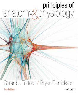 Descargar libro PDF gratis: Principles Of Anatomy And Physiology
