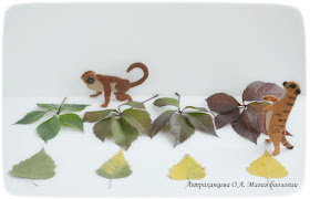 osennjaja-progulka-dlja-junogo-naturalista-magija-biologii