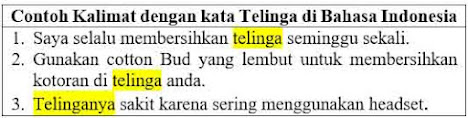 24 contoh kalimat menggunakan kata telinga di bahasa Indonesia