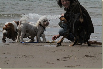 Wales 5-8-2012 524