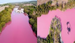 Ένας ασυνήθιστος ροζ χρωματισμός στη λιμνοθάλασσα La Salina, στην κοινότητα Escobilla, στην πολιτεία Oaxaca, έχει κινητοποιήσει  τις αρχές, ...
