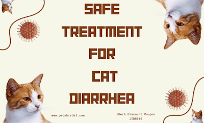 Cat diarrhea | How to treat cat diarrhea at home