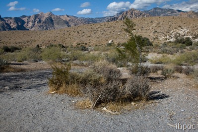 IMG_7870 copy