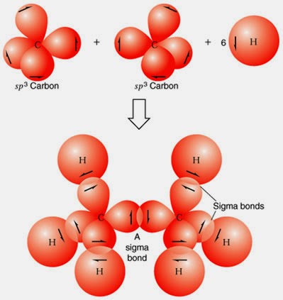 La Hibridacion Del Carbono Hibridacion Sp1 Sp2 Sp3