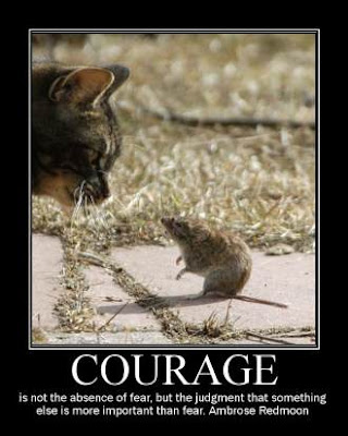 Courage to Face Your Fears