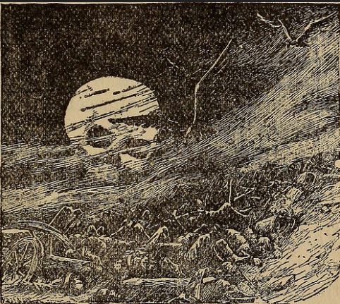 http://hauntedohiobooks.com/news/weird-tales-from-the-trenches-of-the-great-war/