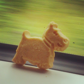 Scottie dog shortbread on the train
