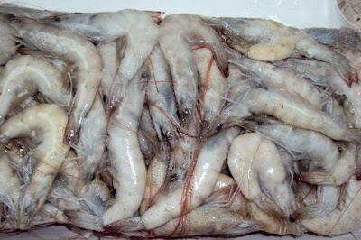 Vannamei Shrimp Price How to Get