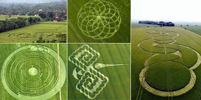 Sejak 1980-an Sudah 12 Ribu Crop Circle Ditemukan di Seluruh Dunia