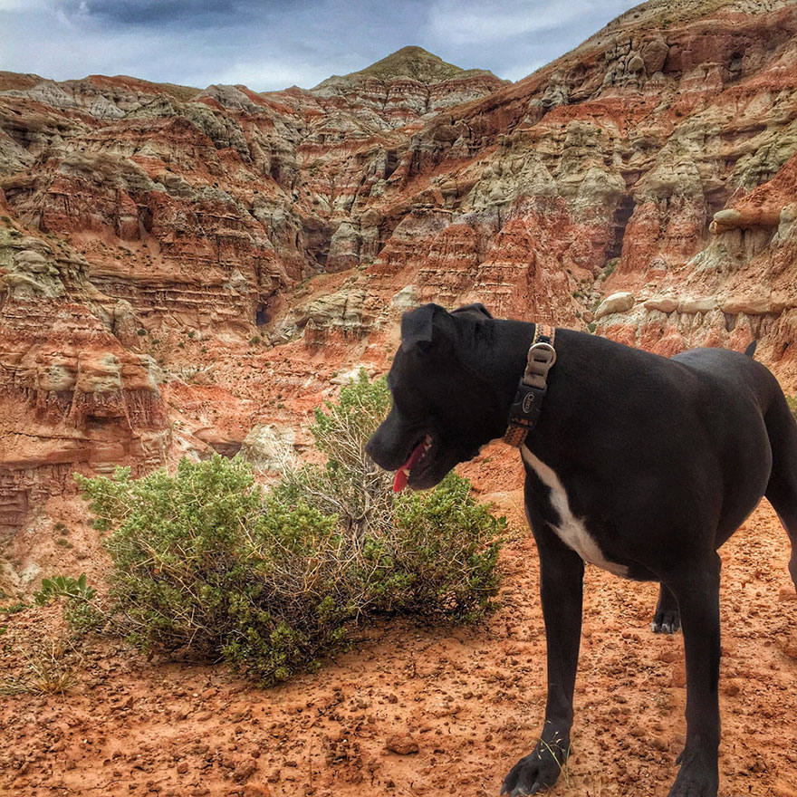 Beauty is everywhere if you know how to look - I Live In My Truck With My Dog And Travel Across The Country