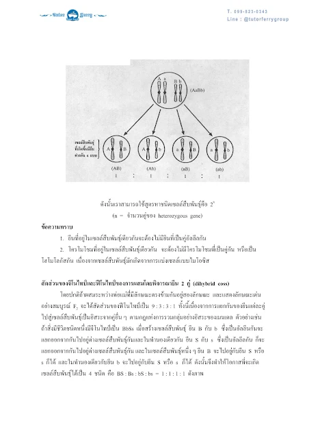 สรุปชีวะ ม.ปลาย