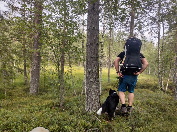 brøgåsen rundt sokna