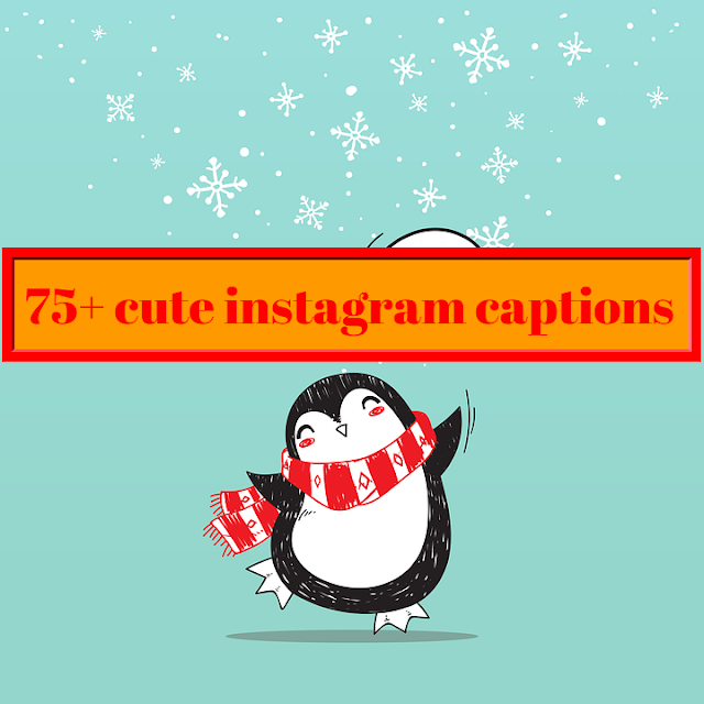 75+ cute instagram captions, short instagram captions.