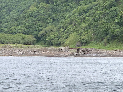 ヒグマ発見地点（写ってない）