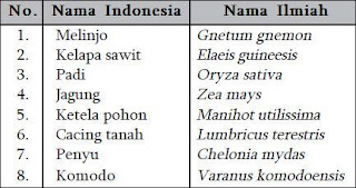  Contoh  Hewan  Mamalia Dan Nama  Latinnya Surpriz Menu