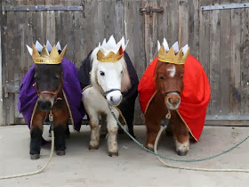 Funny animals of the week - 13 December 2013 (40 pics), three mini horse wear king costumes