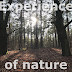 Experience of Nature | Poetry of Light