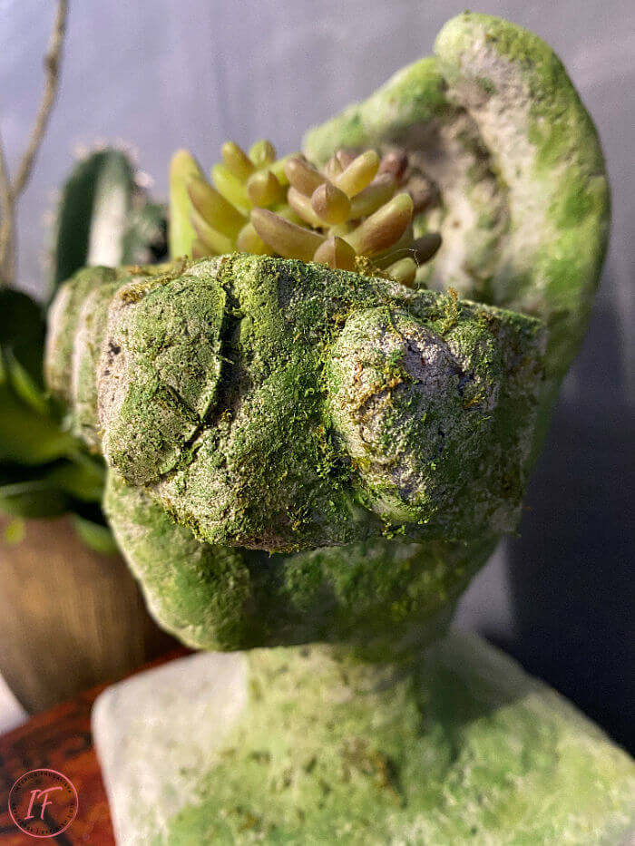 Unique DIY Concrete Succulent Planter