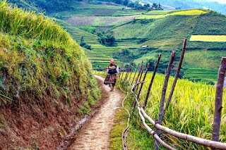 Villager in Vietnam