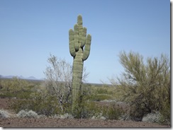 DSCF2144