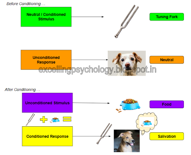 Behavioral Explanation of Phobias @ a Level psychology