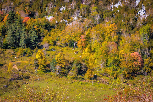 España, Navarra, Pirineo