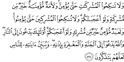 Surat Al-Baqarah Ayat 221