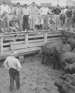 Students at the Sioux City Stockyards about the year I was born