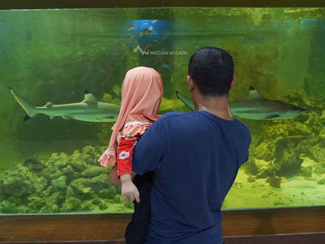 Central Park Zoo Medan