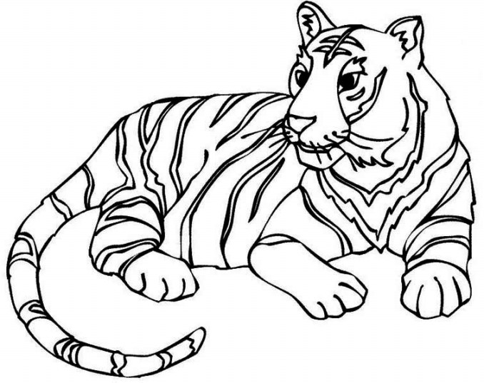 Berikut Gambar  Sketsa Hitam  Putih  Mewarnai Harimau  Terbaru 