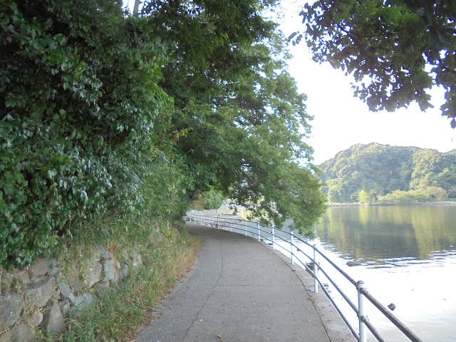 中海岸辺の遊歩道