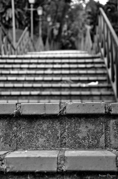 5 - Step by Step