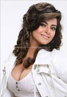 Meera, chopra, latest, hot, cleavage, in, photoshoot