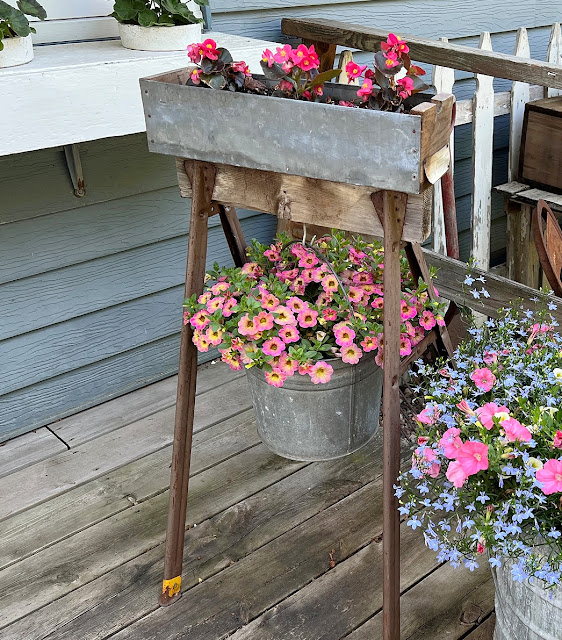 Photo of a sawhorse with a bucket of calibrachoa and a bin with wax begonias.