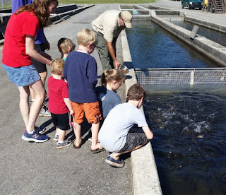 Tour of the Lake Burton Fish Hatchery.