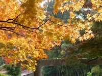 一の鳥居の紅葉