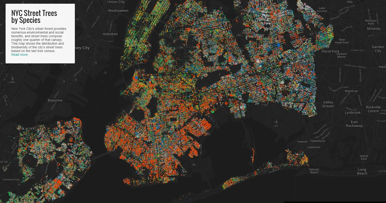 New York City street trees by species