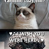 Grumpy Cat Quotes. QuotesGram