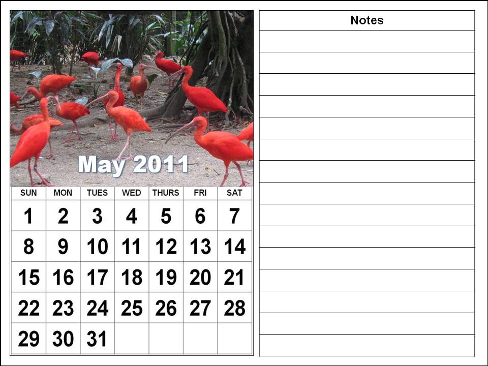may 2011 calendar pdf. may 2011 calendar pdf. may 2011 calendar pdf.