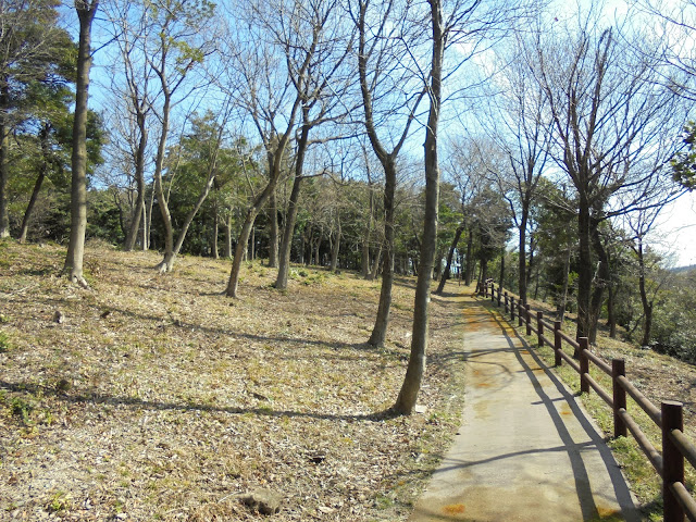 弥生の森遊歩道