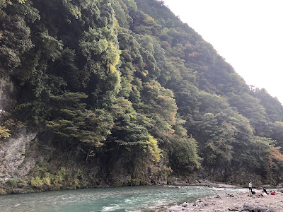 氷川キャンプ場