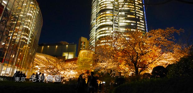 六本木ヒルズ 毛利庭園の桜