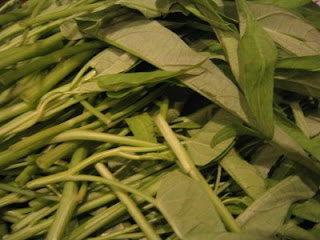 Kangkung (Water Spinach)