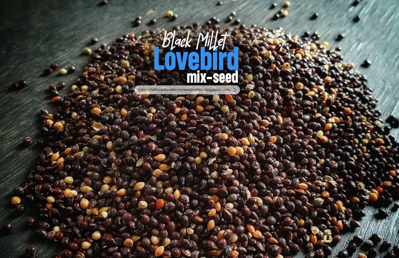 seed mix for African lovebirds