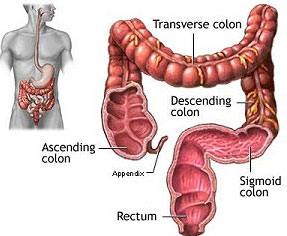 Intestinal,Problems