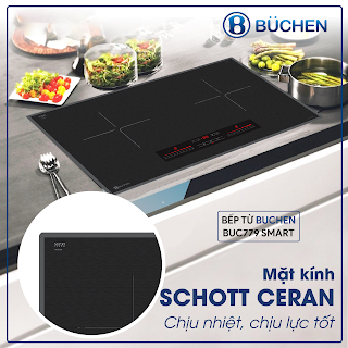 Bếp từ nhập khẩu Buchen