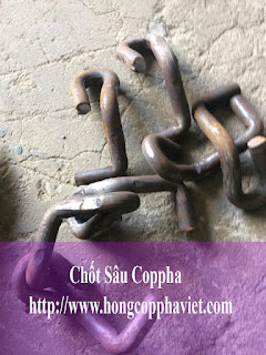 chốt sâu coppha định hình