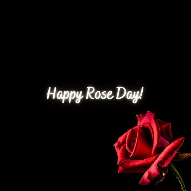 Happy Rose Day Photo